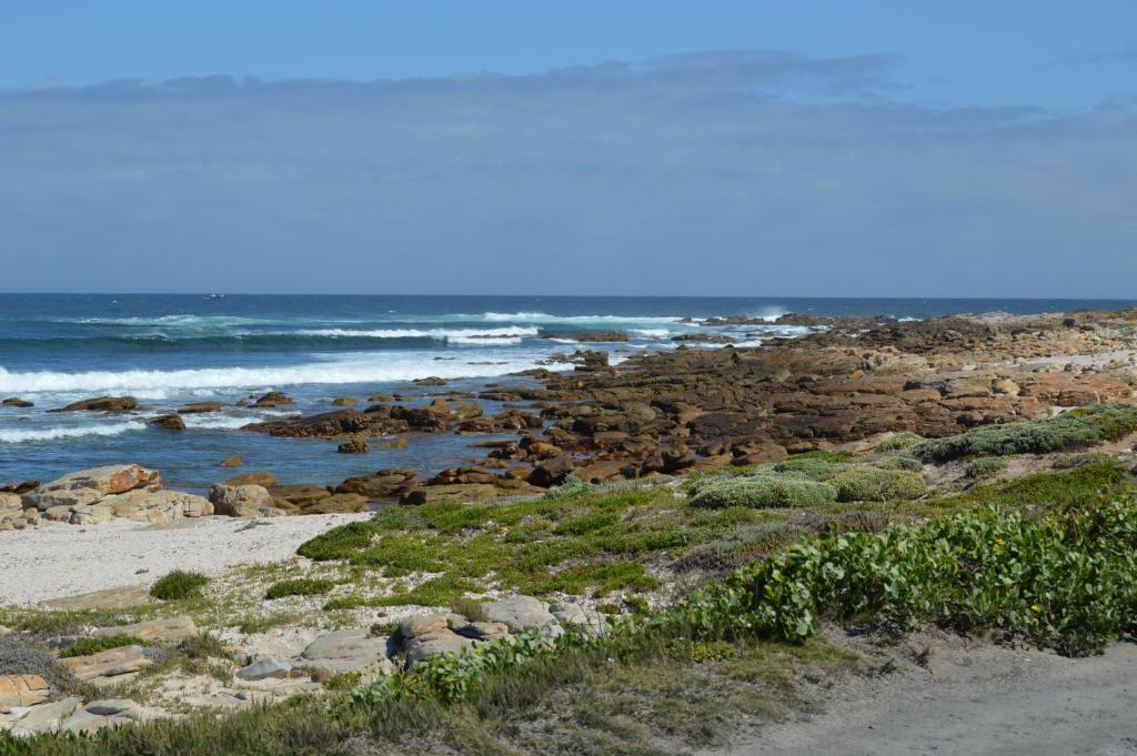 Thatchwood Country Lodge St. Francis Bay Exterior foto